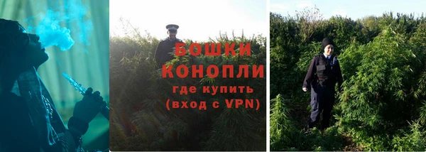 трава Алзамай