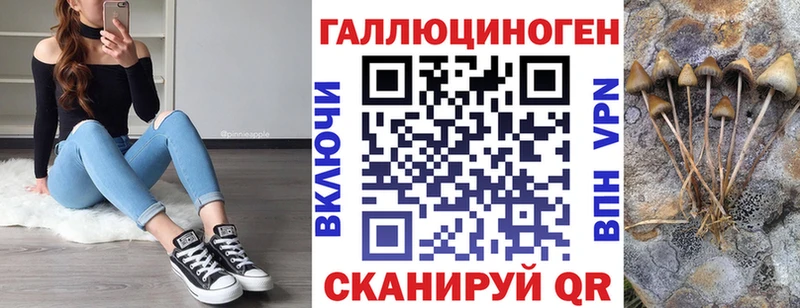 Псилоцибиновые грибы Magic Shrooms  как найти   Железногорск 